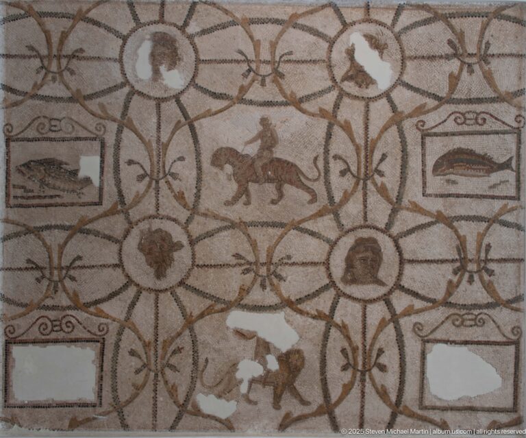 Roman mosaic with interlocking circles containing animals, portrait heads, and small rectangular motifs on a pale ground.