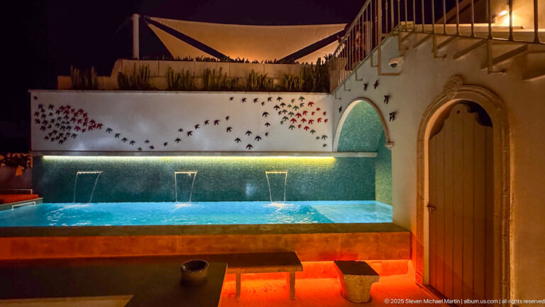 Blue-lit pool below a white wall of bird silhouettes, beside an arched wooden door and turquoise-lined arch.