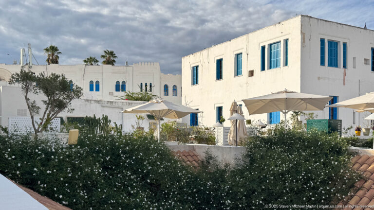 White rooftop buildings with blue windows rise behind umbrellas, shrubs, succulents, and flowering terrace plants.