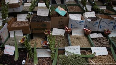 Open boxes and trays of dried herbs, flowers, seeds, and botanicals with handwritten Arabic labels and price signs.