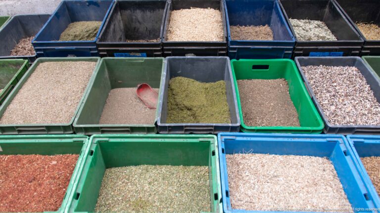 Rows of plastic bins filled with pale grains, dried herbs, seeds, and colored spice mixtures, with a red scoop in one tray.