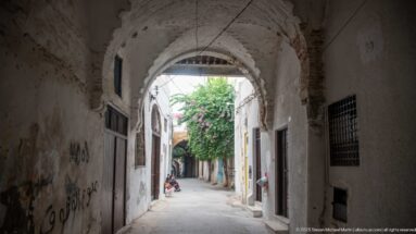 Shadowed vaulted medina passage with rough plaster and barred windows opening onto a brighter lane with leafy vegetation.