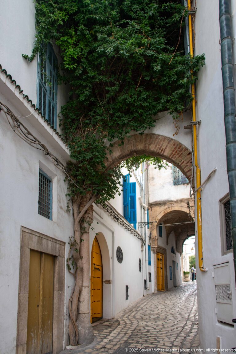Whitewashed medina lane passing beneath a masonry arch and leafy tree, with blue shutters, ochre doors, and patterned paving.