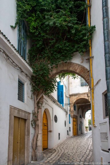 Whitewashed medina lane passing beneath a masonry arch and leafy tree, with blue shutters, ochre doors, and patterned paving.