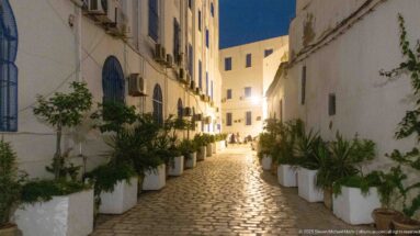 Cobblestone lane at night lined with white planters, small trees, palms, white façades, and blue window grilles.