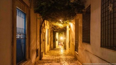 Narrow cobbled alley under leafy branches and warm lamps, with blue metalwork and barred windows along the walls.
