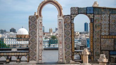 Two richly tiled rooftop arches framing white domes, palms, and modern buildings on the Tunis skyline.