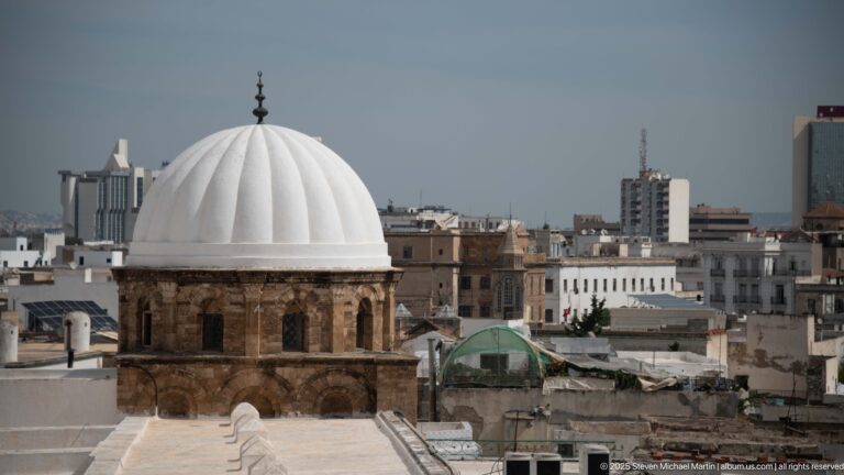 White ribbed dome on an octagonal masonry drum rising above the dense urban roofs of Tunis.