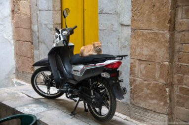 Ginger cat resting across the rear seat of a parked motorbike beside a bright yellow door and weathered stone wall.