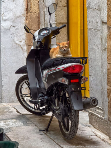Ginger cat curled on the seat of a parked motorbike beside pale masonry and a bright yellow doorway.