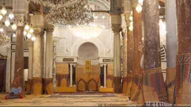 Frontal aisle view toward the ornate mihrab, framed by polished columns and chandeliers, with a seated visitor at left.