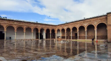 Rain-wet Zitouna Grand Mosque courtyard reflecting surrounding arcades, with pigeons on the paving and a few people under cover.