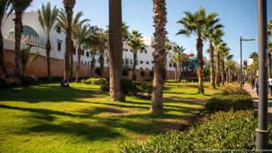 Palm-lined lawn and pedestrian promenade beside white buildings under strong sunlight in Casablanca.