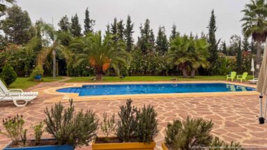 Rectangular blue swimming pool surrounded by stone paving, palms, flowering shrubs, lawn, lounge chairs, and bright outdoor seats.
