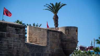Rounded stone turret with a narrow opening projects from a fortified wall beneath a palm tree.