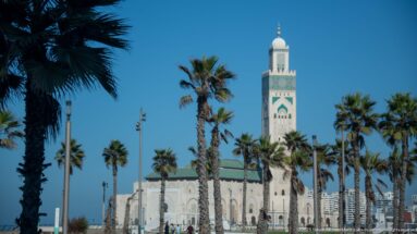 Hassan II Mosque and tall square minaret seen beyond palm trees beneath a clear blue sky in Casablanca.