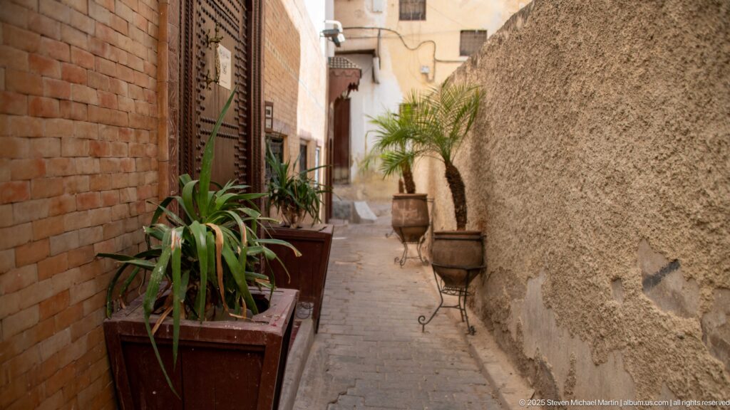 Narrow paved medina lane between brick and rough plaster walls, lined with large potted plants.