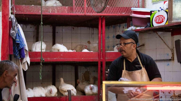 Vendor behind a red poultry stall with live white chickens in tiled compartments and a customer at the counter.