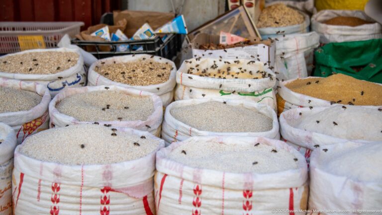 Open white sacks filled with assorted grains or seeds, with numerous bees crawling across the rims and contents.