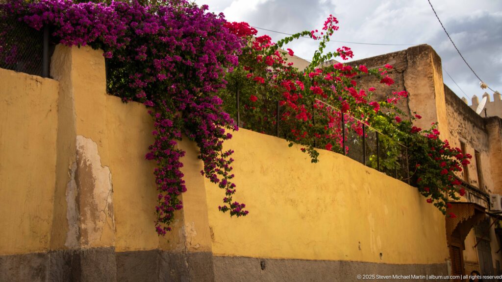 Magenta bougainvillea cascading over a weathered ochre plaster wall beneath a cloudy sky.