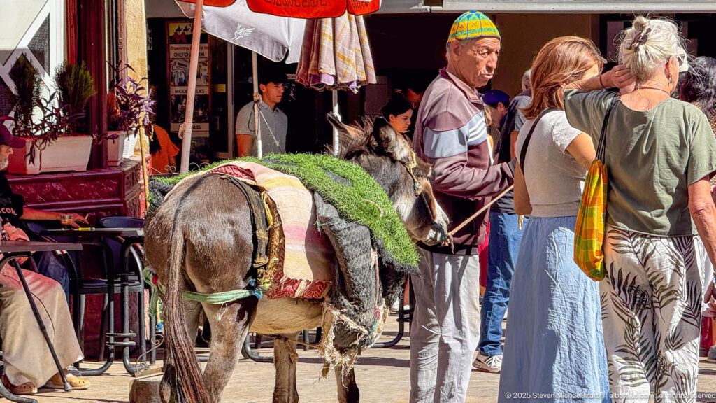 Saddled donkey with layered blankets standing among pedestrians outside shops and cafés in Fes Medina.