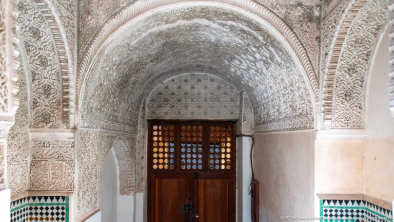 Wooden door with gridded upper panel beneath pale carved vaulting, scalloped arches, and small tiled lower sections.