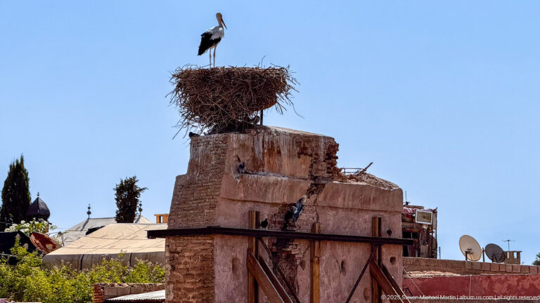 White stork standing on a large nest atop a weathered masonry structure above Marrakech rooftops and satellite dishes.