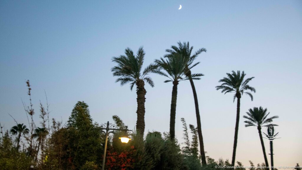 Tall palm trees silhouetted against a twilight blue sky with a thin crescent moon above Marrakech.