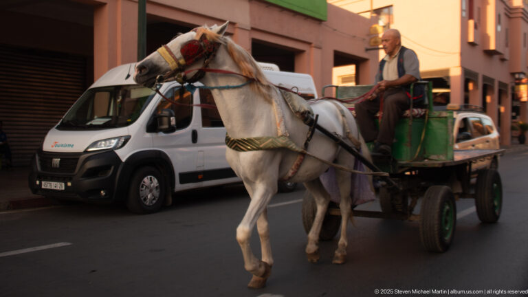 White horse pulling a small utility cart past parked vehicles on a Marrakech street, with the driver seated above.