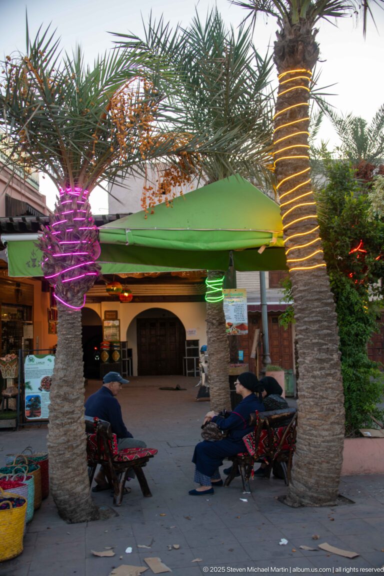 Palm-shaded café courtyard with green umbrellas, low seating, and purple and green decorative lights around tree trunks.