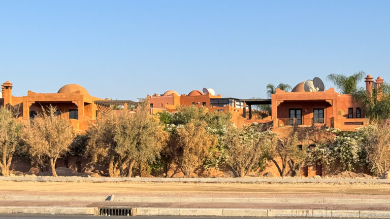 Terracotta low-rise buildings with rounded roof forms and chimneys stand behind olive trees and palms in Marrakech.
