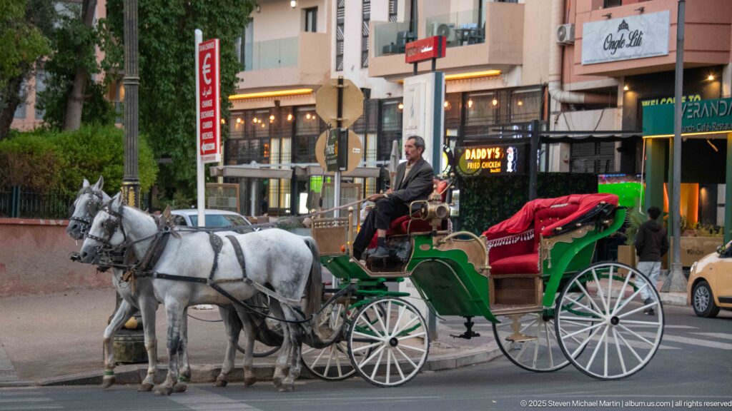 Two gray horses harnessed to a green-and-red calèche waiting beside shops on a Marrakech street.