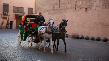 Horse-drawn carriage with two horses beside the tall earthen walls of Badii Palace on a cobbled street in Marrakech.