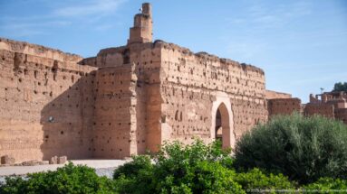 Massive earthen walls of Badii Palace with a tall pointed arch, tower-like projection, and green garden vegetation.