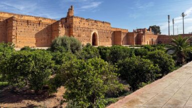 Wide view of Badii Palace walls behind dense green garden trees and palms, with a paved visitor path at right.