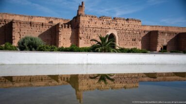 Weathered earthen wall and palm trees reflected in a long rectangular basin inside Badii Palace.