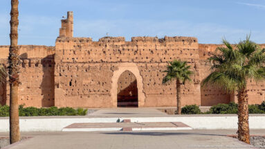 Large pointed arch in a weathered earthen wall framed by palm trees inside Badii Palace.