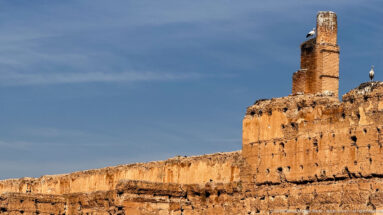 White storks perched on high Badii Palace ruins beside a tall brick tower-like remnant under a blue sky.