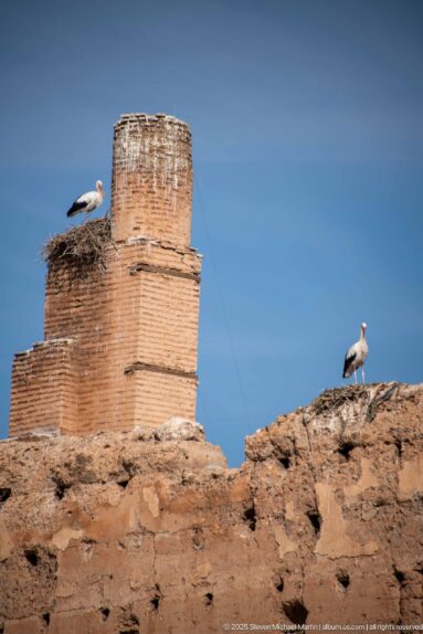 Two white storks perched on Badii Palace ruins beside a cylindrical brick structure against a clear blue sky.