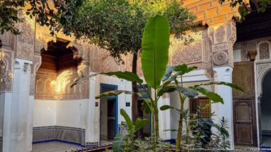 Banana plants and tree in a Bahia Palace courtyard surrounded by carved plaster, painted wood and blue-white tilework.