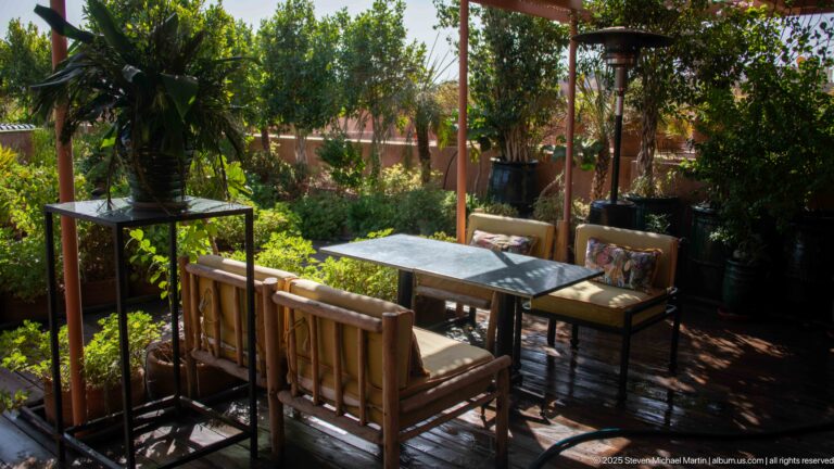 Shaded rooftop terrace with small tables, cushioned wooden chairs, trees, potted plants, and filtered sunlight.