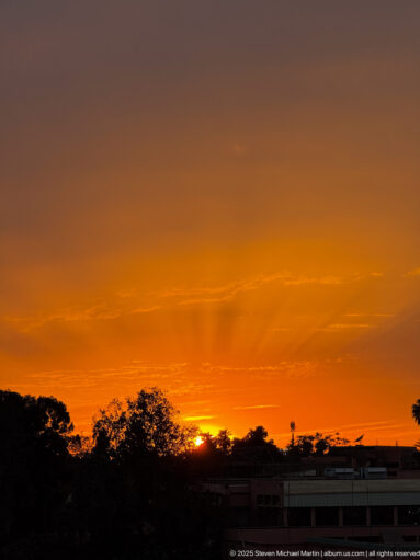 Orange sun setting behind silhouetted trees and low rooftops in Marrakech.