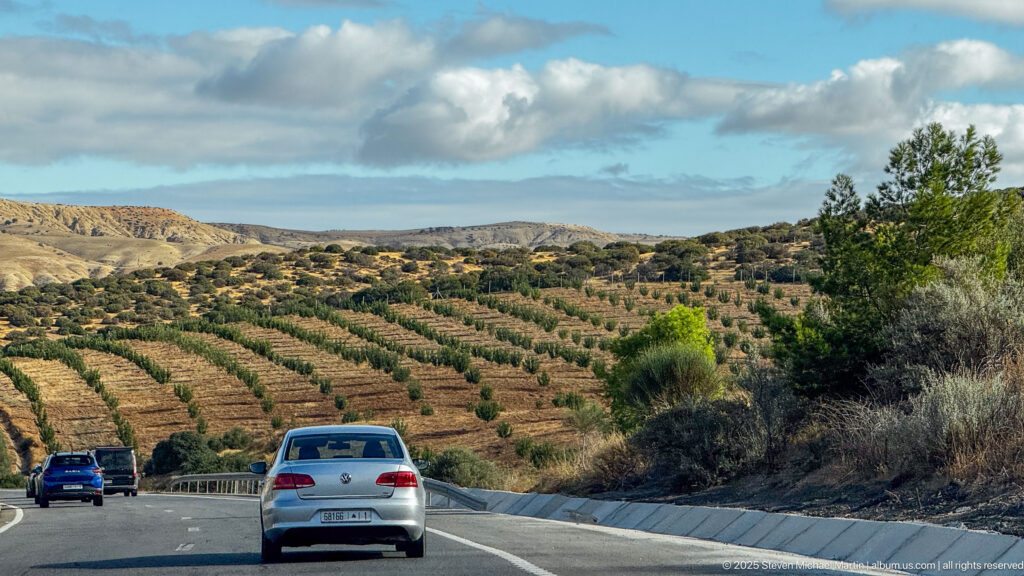 Cars travel beside patterned rows of cultivated trees on dry rolling hills under a blue, cloud-filled sky.