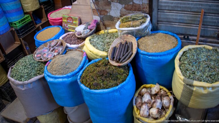 Open blue, yellow, and gray sacks filled with dried herbs, seeds, spices, roots, and pale bulbs.