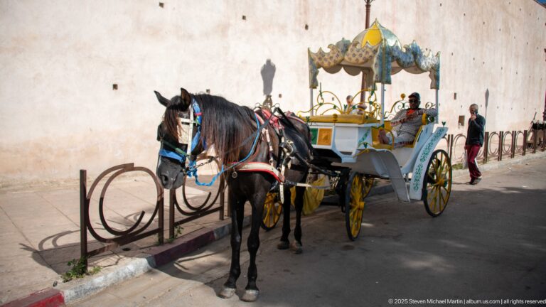 Black horse harnessed to a yellow-and-white carriage beside a tall pale wall and metal railing.