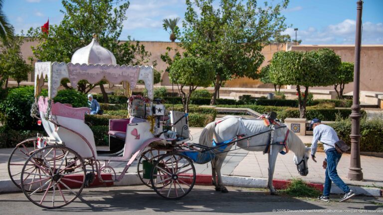 White horse and pink-and-white decorative carriage beside a landscaped garden and red-and-white curb.
