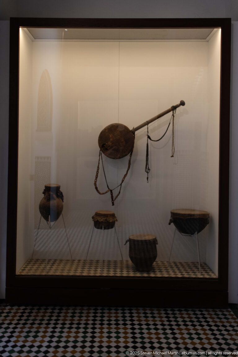 Museum case with long-necked instrument forms, shallow resonators, cords, and small components.