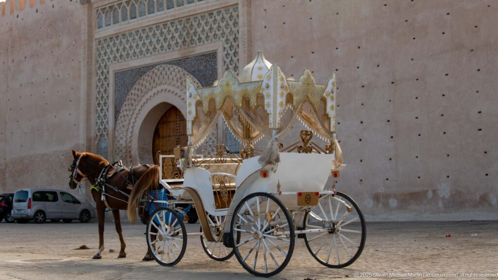White horse-drawn tourist carriage parked before a large decorated horseshoe-arched gateway.