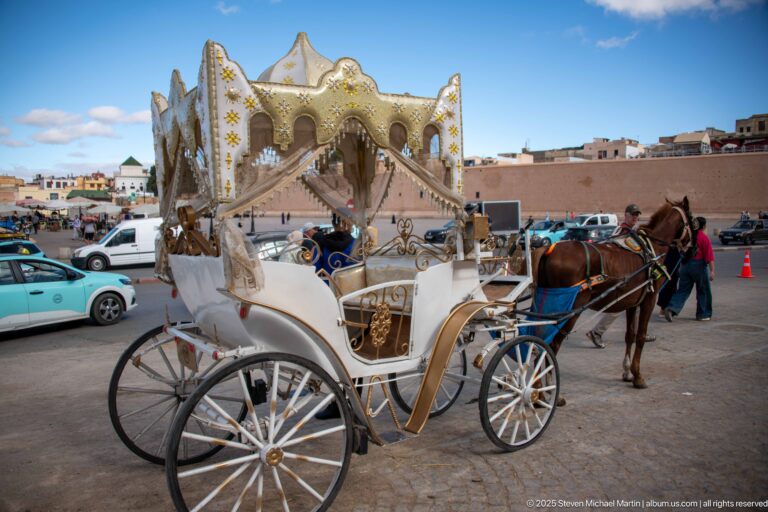 Ornate white and gold horse-drawn carriage with large spoked wheels in a paved square.