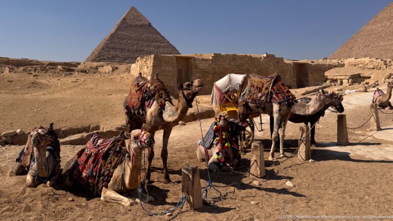 Resting and standing saddled camels on sandy ground with two Giza pyramids and low stone structures behind.